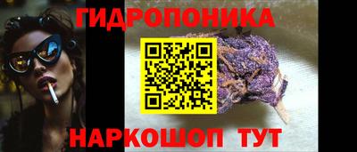 Альфа ПВП Лесосибирск